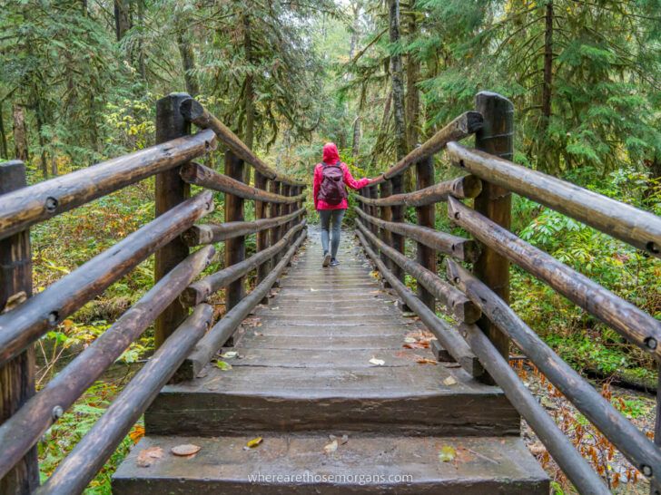 How To Hike Wallace Falls State Park Trail In Washington