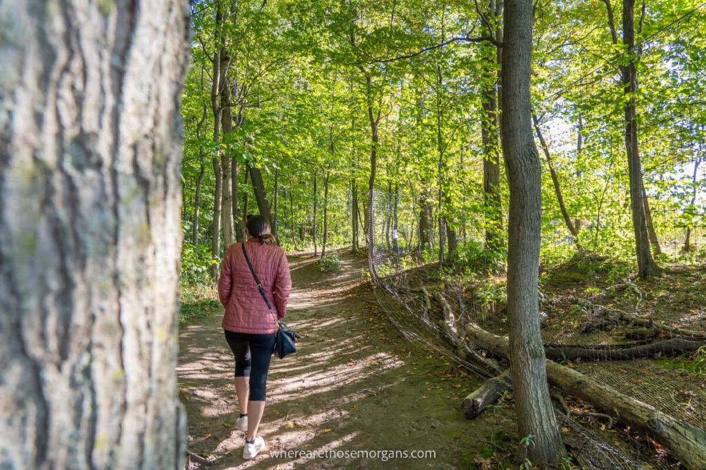 Woman walking through a forested section of a hiking trail
