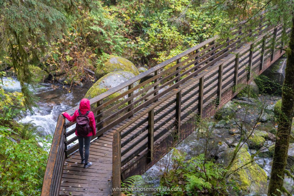 Hiker in raincoat crossing a wooden bridge over a river in a forest