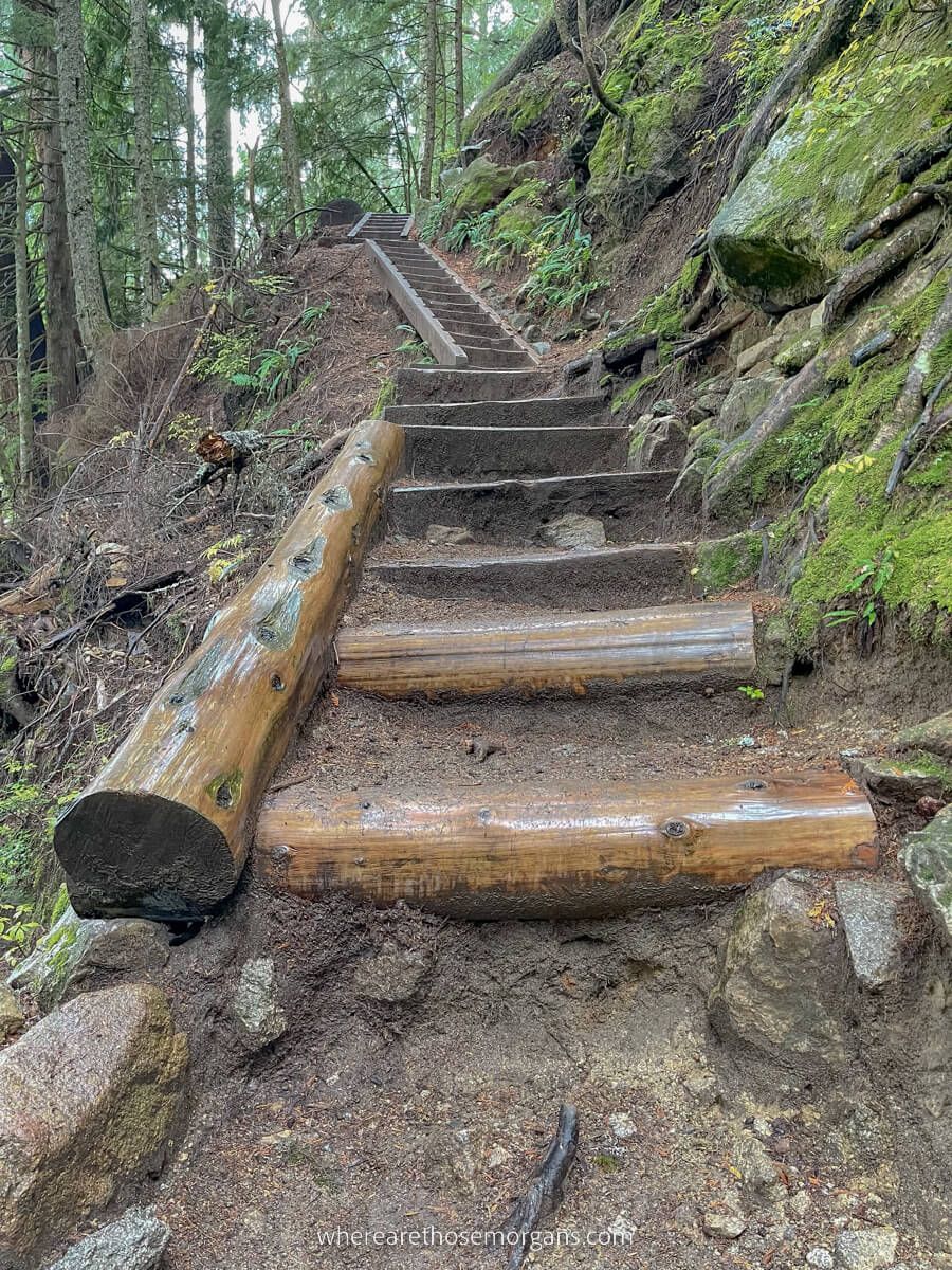 Long wooden staircase built into forest hiking path