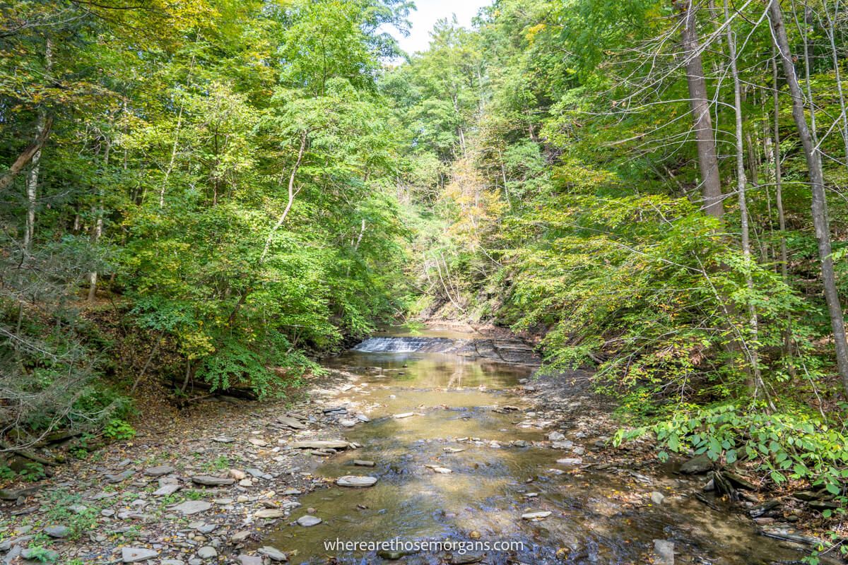 Shallow creek in upstate New York surrounded by lush green trees