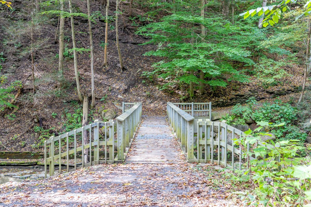 Pedestrian bridge located along a hiking trail