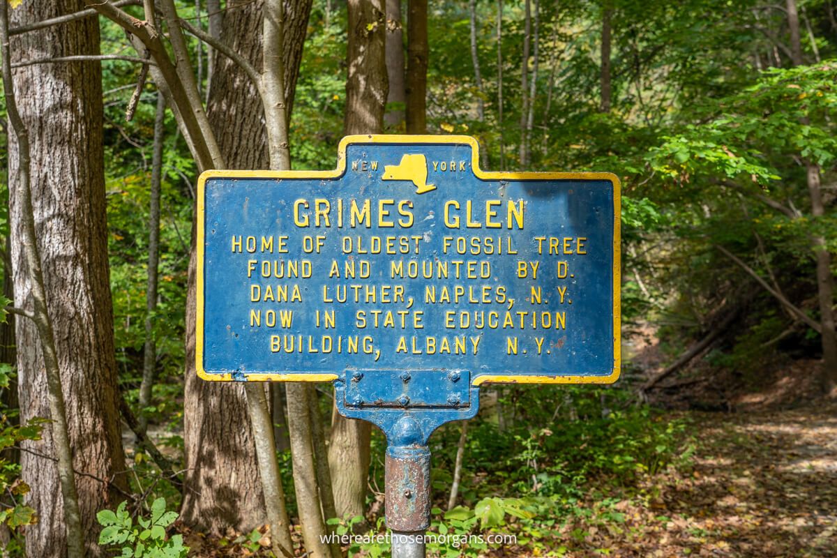 Sign indicating located of the oldest fossil tree found in the state of New York