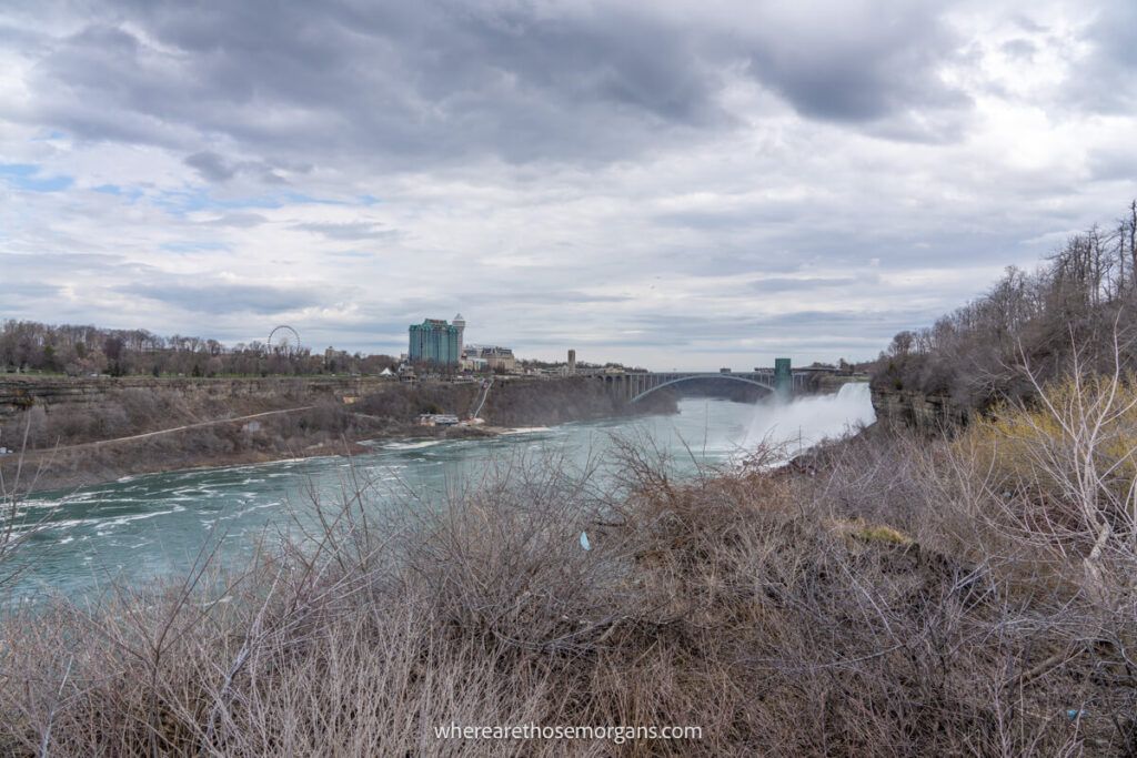 Bare vegetation at NIagara Falls State Park in the early spring
