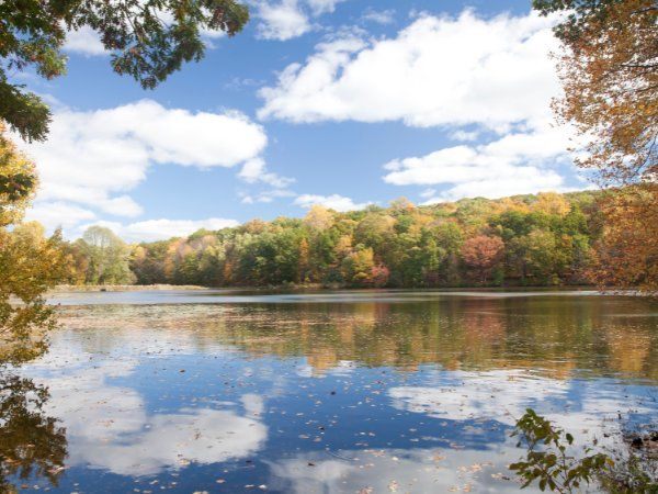 Calm lake setting at Rockefeller State Park Preserve