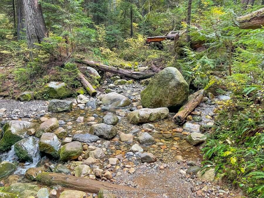 Stream crossing with small stones on a hike
