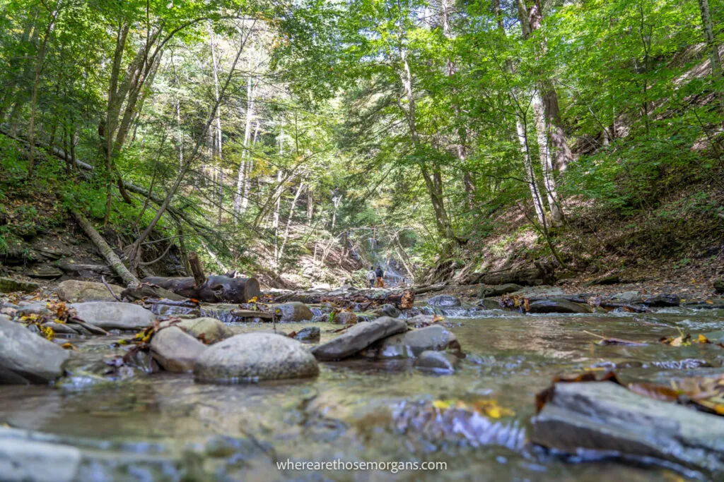 Water running through a small creek in New York State