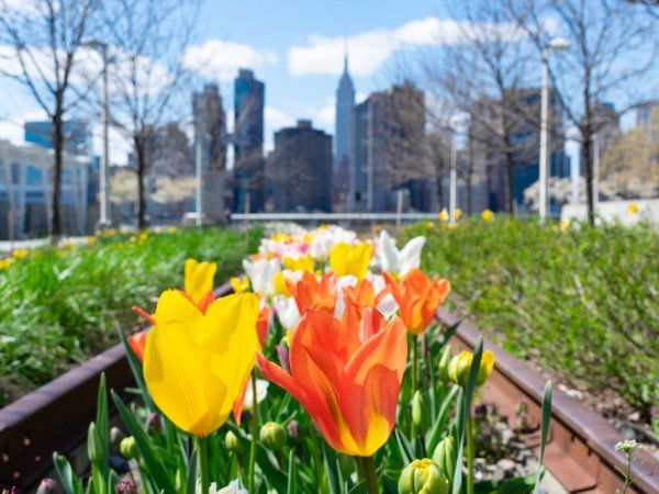 View of flowers and the Empire State Building at Gantry Plaza State Park