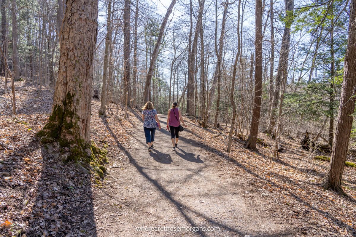 Two people walking along wooded hiking trail in spring