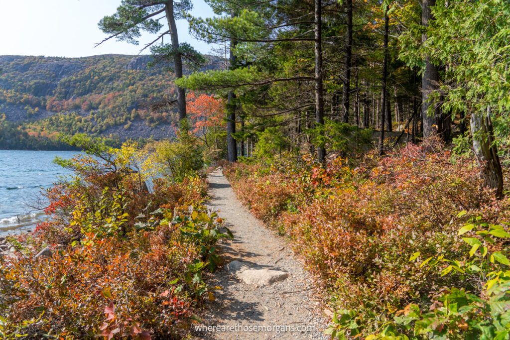 Vibrant fall foliage colors around Jordan Pond in Acadia national park