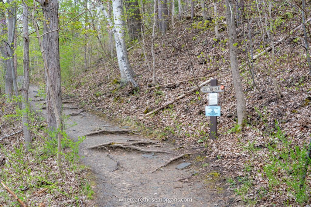 Entrance to the Rim trail at Buttermilk Falls State Park