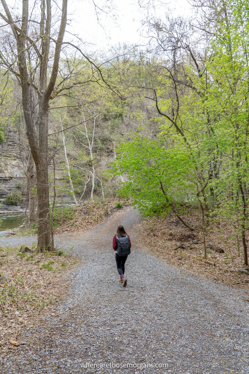 Hiker walking down a gravel path with trees to either side