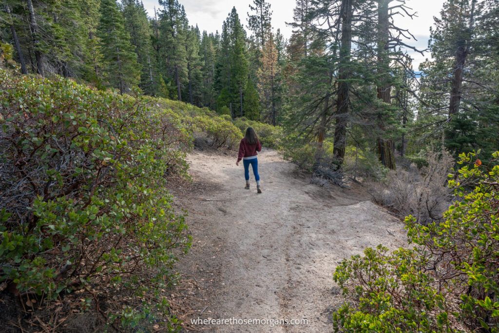 Hiker on a dirt path leading into forest on the Chimney Beach Trail at Lake Tahoe in late afternoon