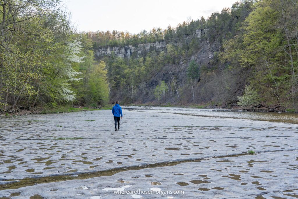 Man walking along a dried section of Taughannock Creek