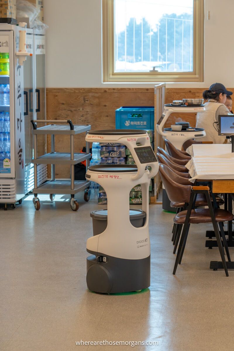 White round robot delivering meals to customers at Imjingak Park