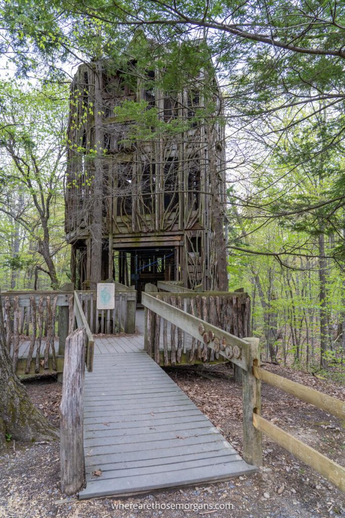 Wooden treehouse at the Cayuga Nature Center one of the most family friendly things to do in Ithaca