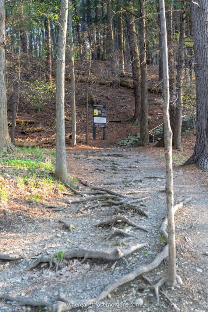 Dirt path featuring South Rim trail at Taughannock Falls