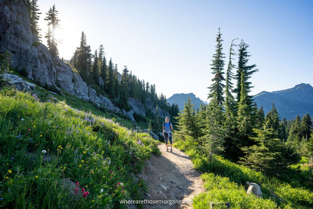 Woman on part of the Pacific Crest Trail which is not a beginner hike