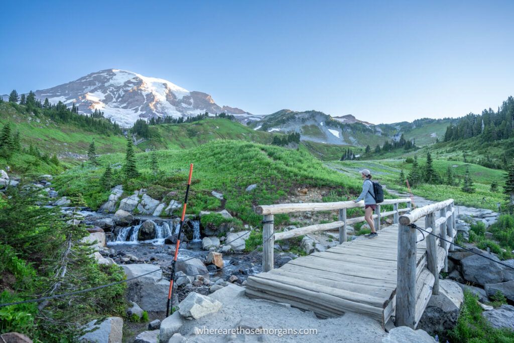 Woman wearing a Patagonia better sweater in Mount Rainier National Park