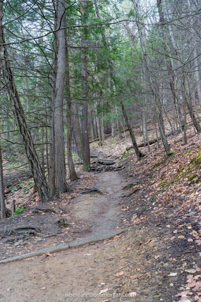 Wooden trail leading up to Buttermilk Falls Gorge Trail
