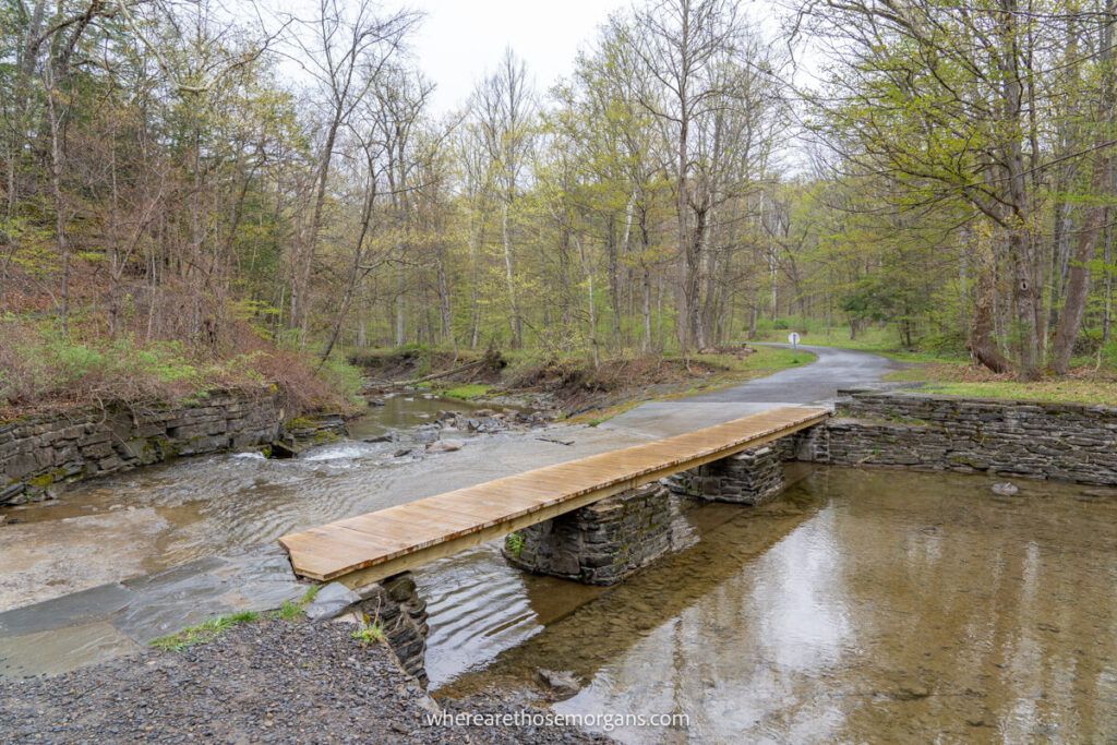 Flooded road near Lake Treman