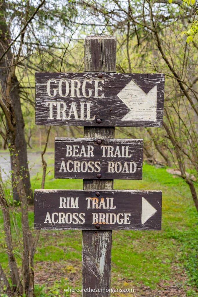 Brown wooden signs indicating Gorge Trail, Bear Trail and Rim Trail
