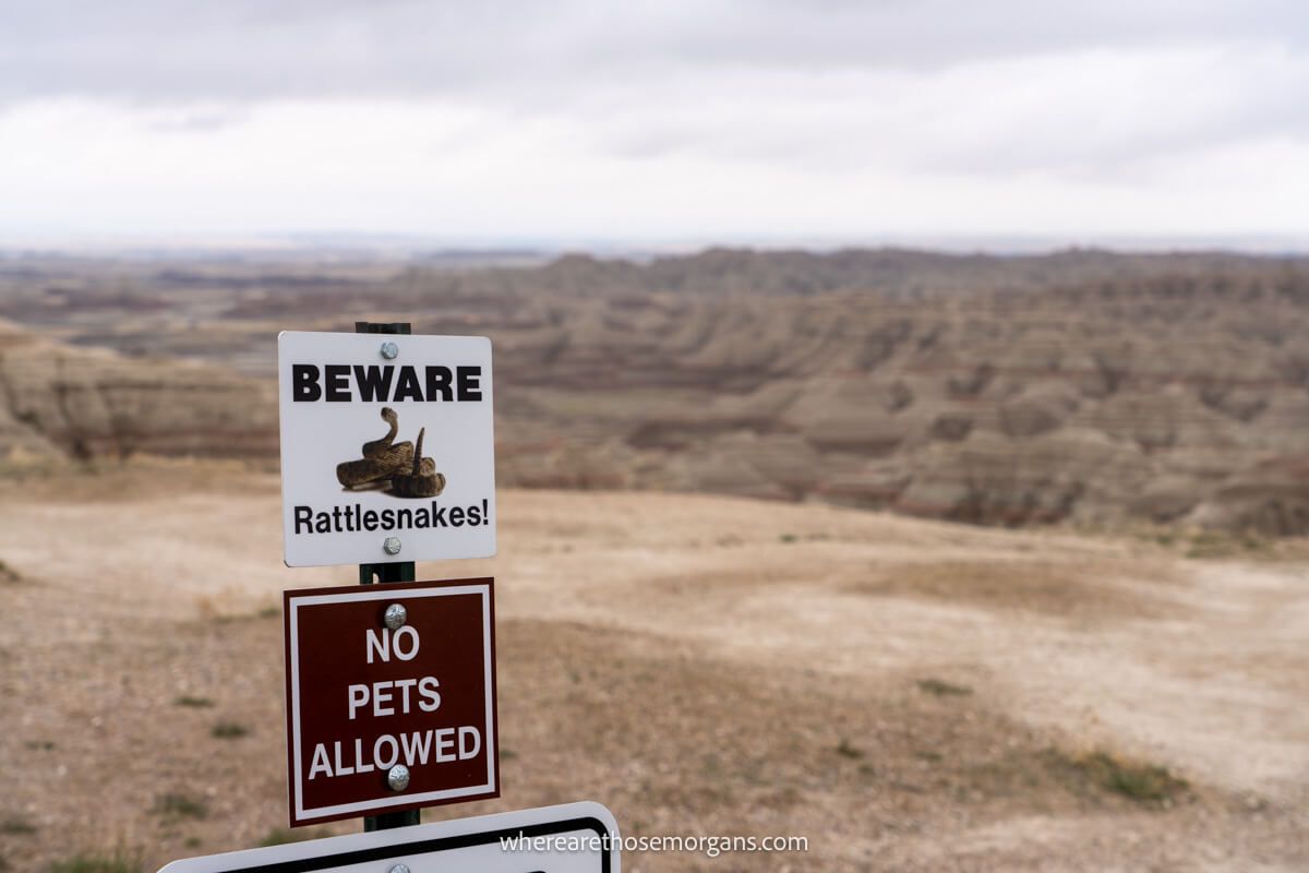 Beware of rattlesnakes sign in South Dakota
