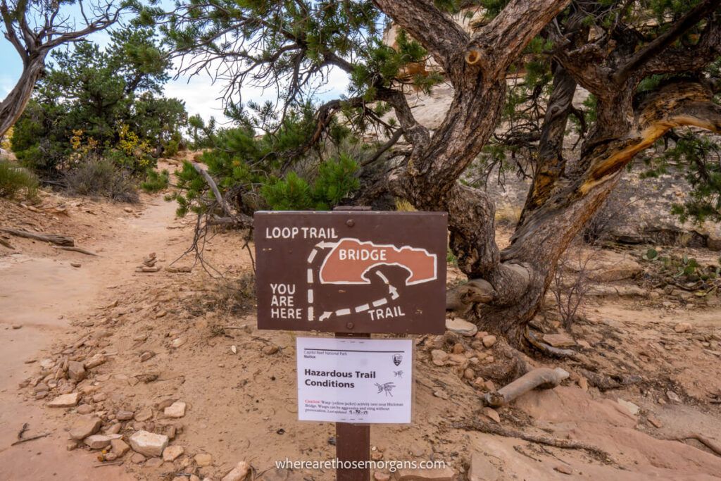 Wooden sign indicating the correct hiking route