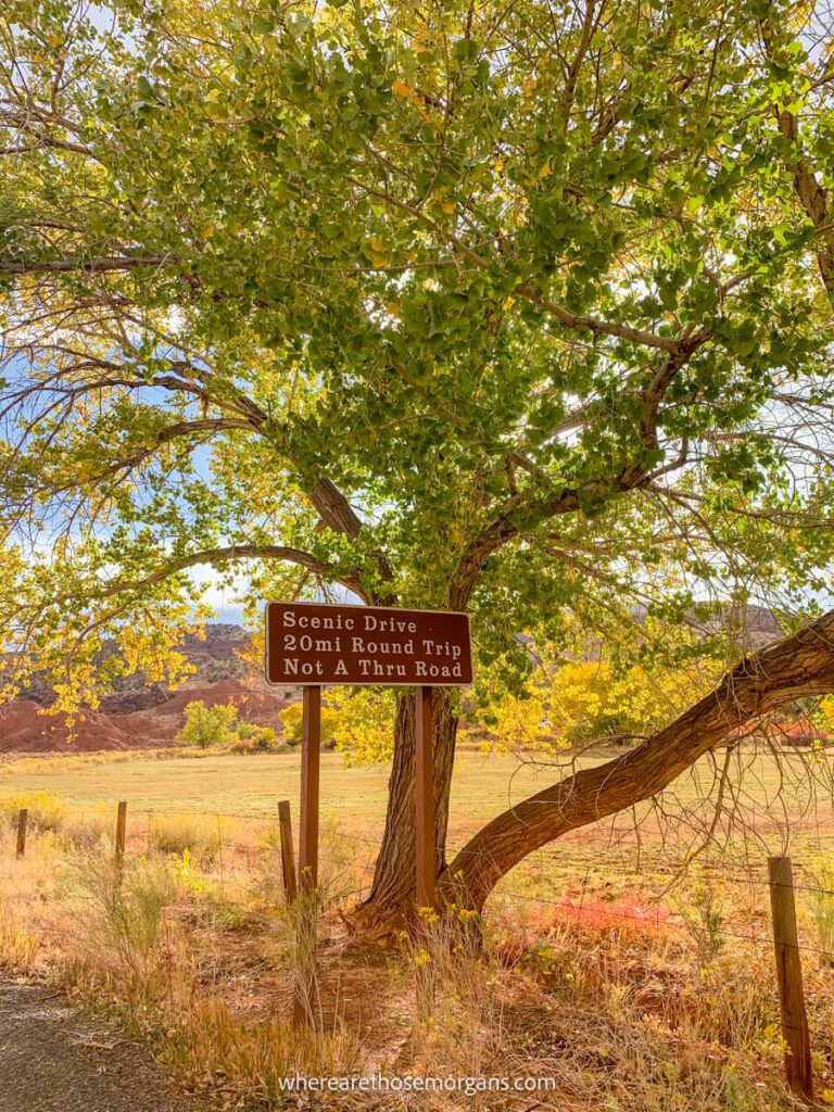 Scenic drive sign along the side of a paved road