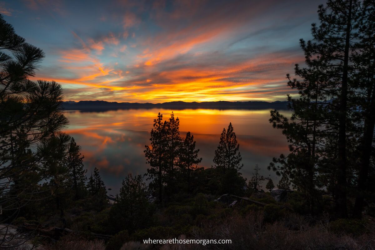 Incredibly colorful sky at sunset over Lake Tahoe with trees in the foreground silhouetted