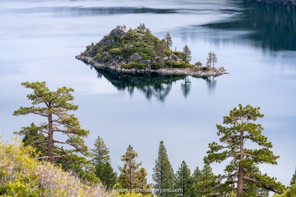 Island in a body of water with trees in the foreground