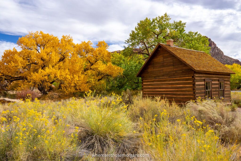 Brown wooden schoolhouse and bright yellow autumn leaves