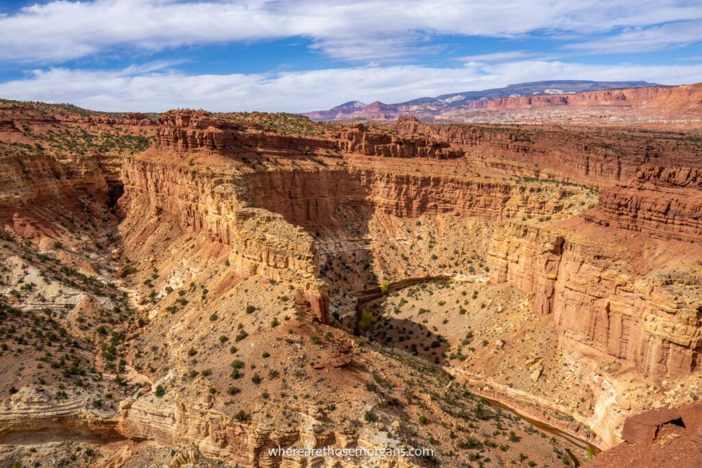 view of goosenecks in a red rock canyon