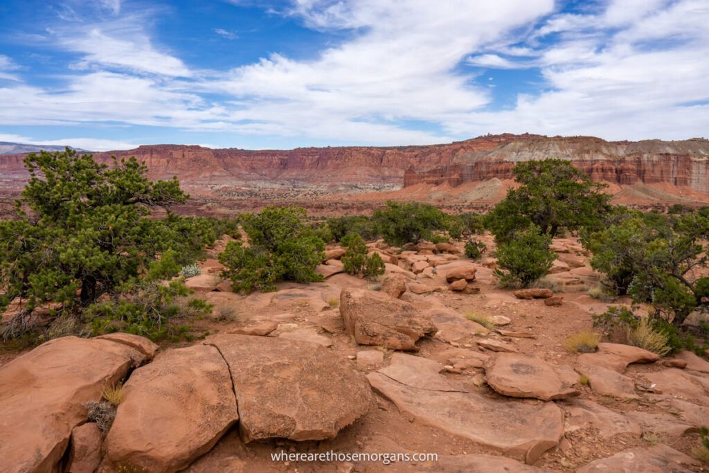 Rocks, large boulders and green vegetation in a red rock canyon