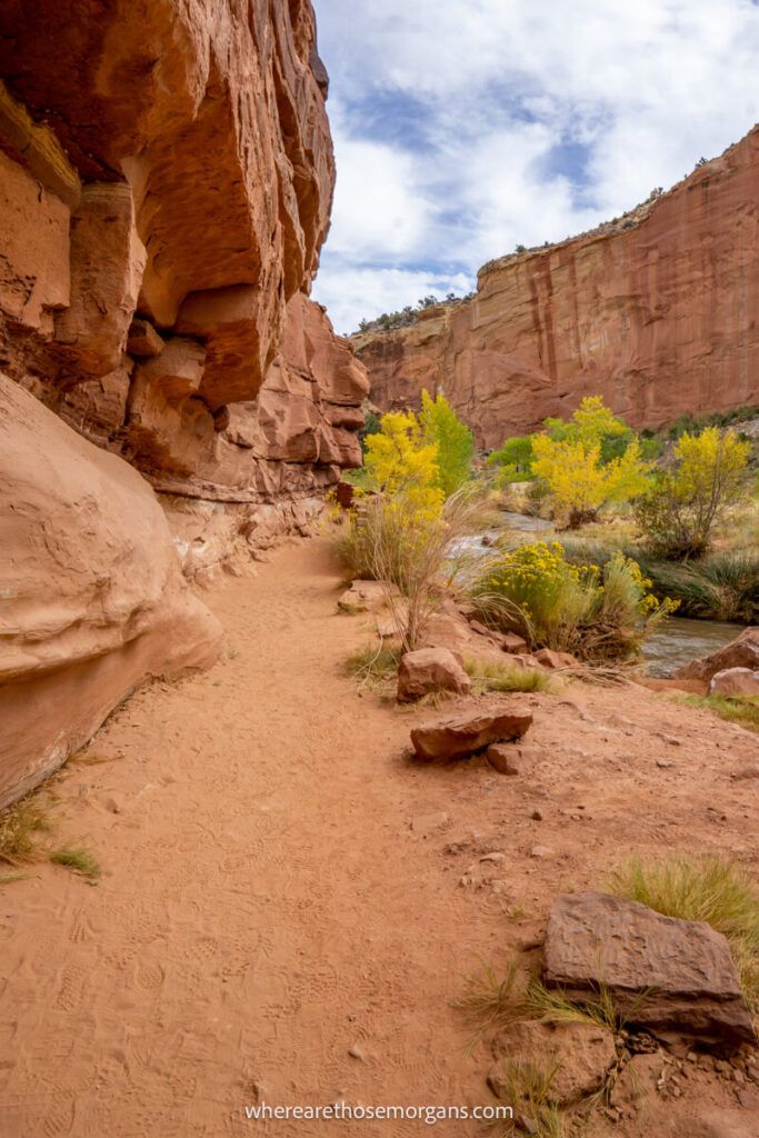 Dirt hiking trail leading towards a red rock canyon