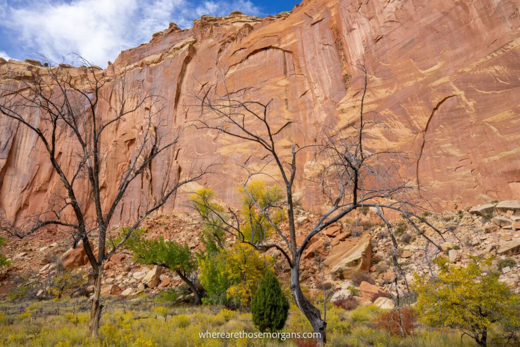 Towering red rock canyon walls in Utah