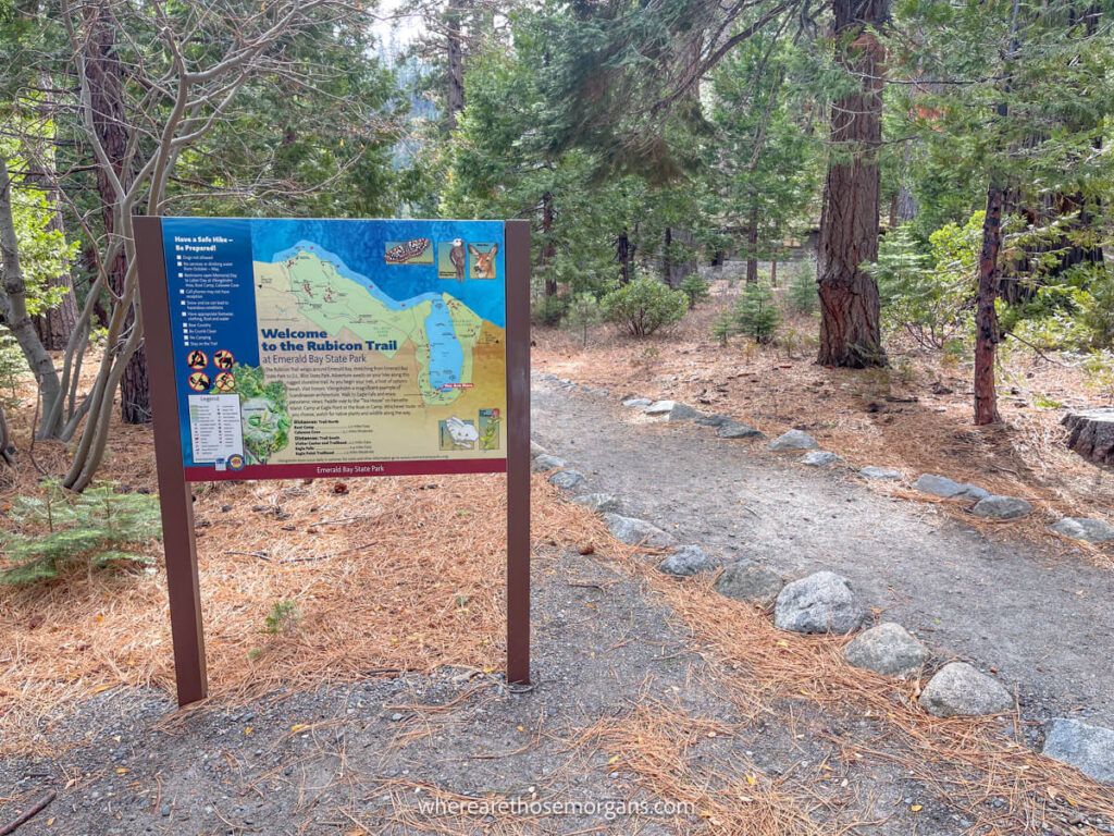 Hiking trail with information board leading into forest