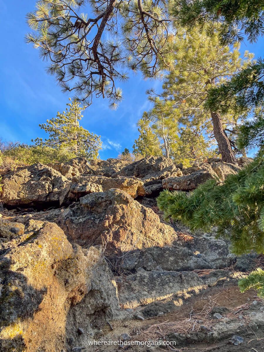 Steep section of hiking trail with rocks and trees on a slope