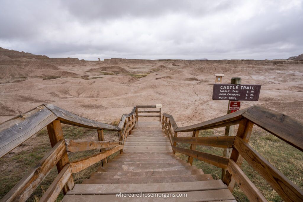 Wooden stairway leading down to a hiking trail