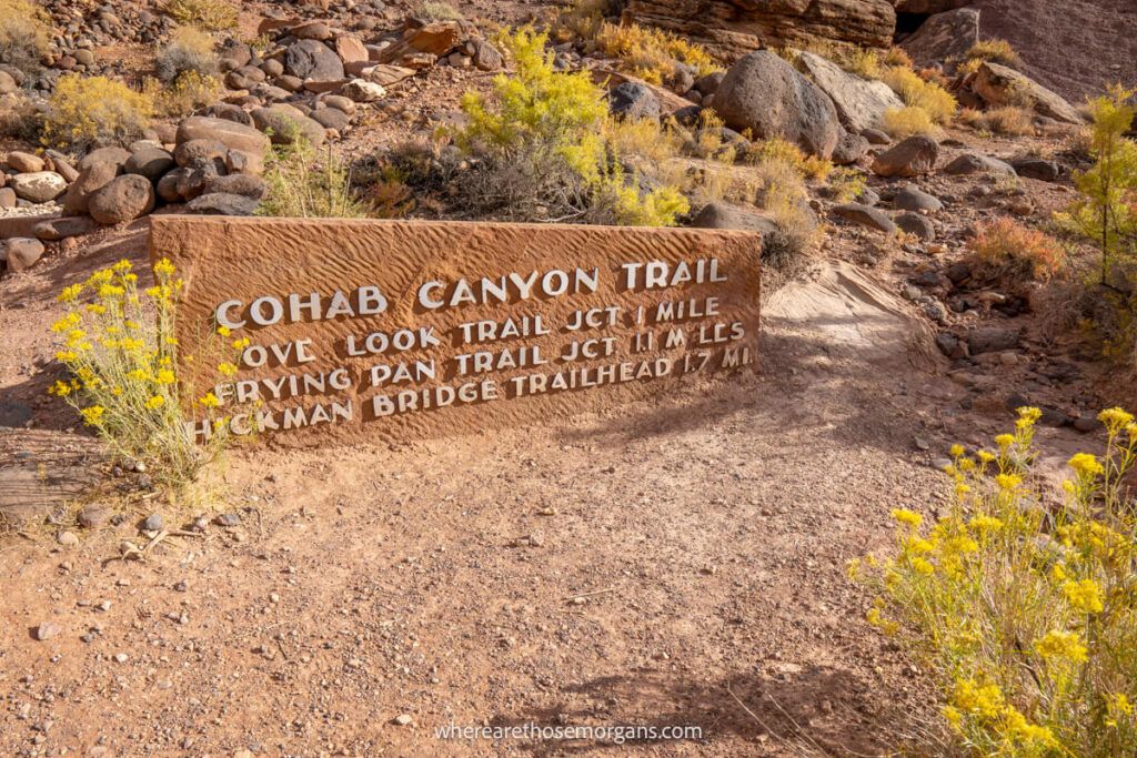 Cohab Canyon trailhead with Frying Pan and Hickman Bridge junction