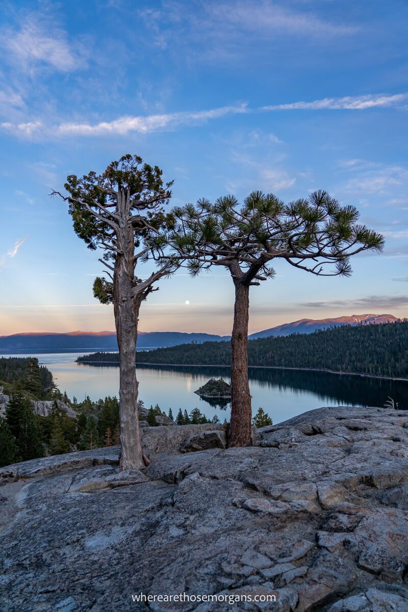 Two trees on a rocky outcrop at dawn with a body of water in the background