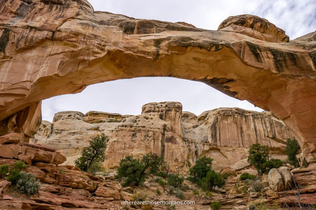 Front view of Hickman Bridge a natural stone arch in Utah