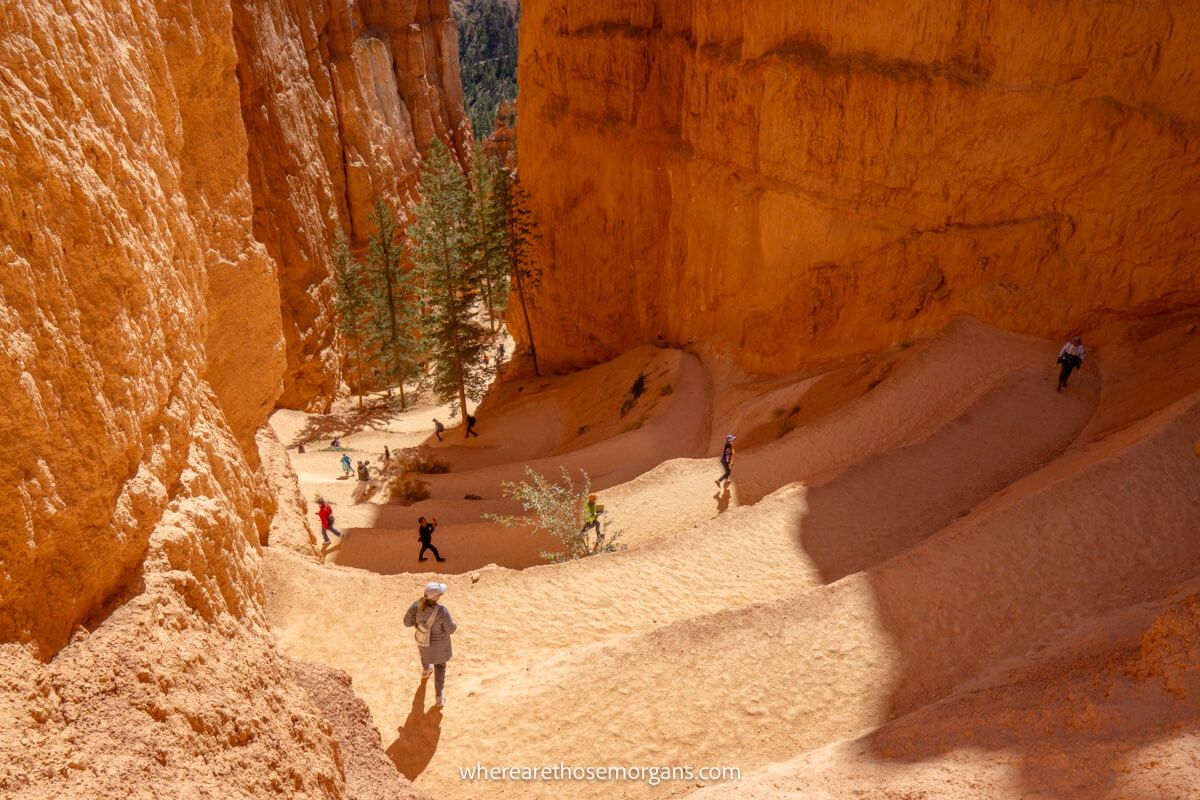 Iconic switchbacks on the popular Utah hike Navajo Loop in Bryce Canyon