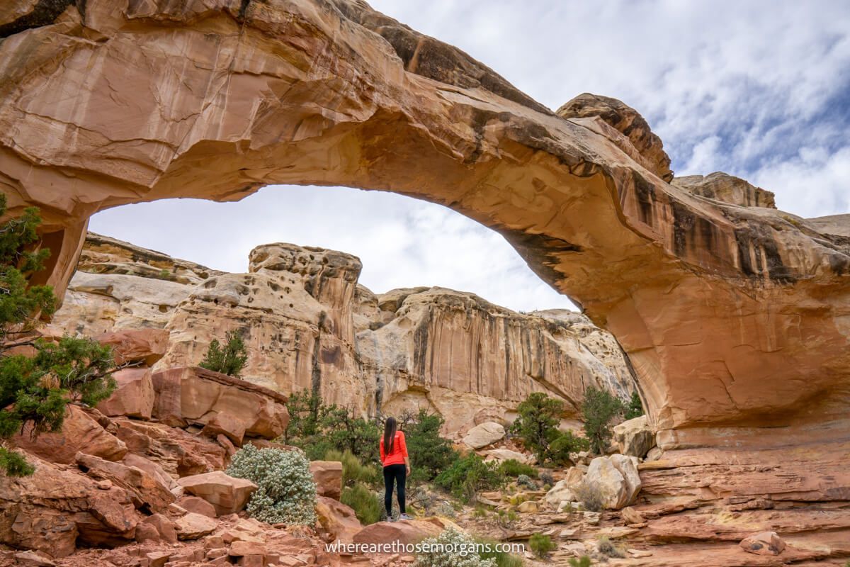 Sandstone arch shaped like a bridge with hiker stood below looking up