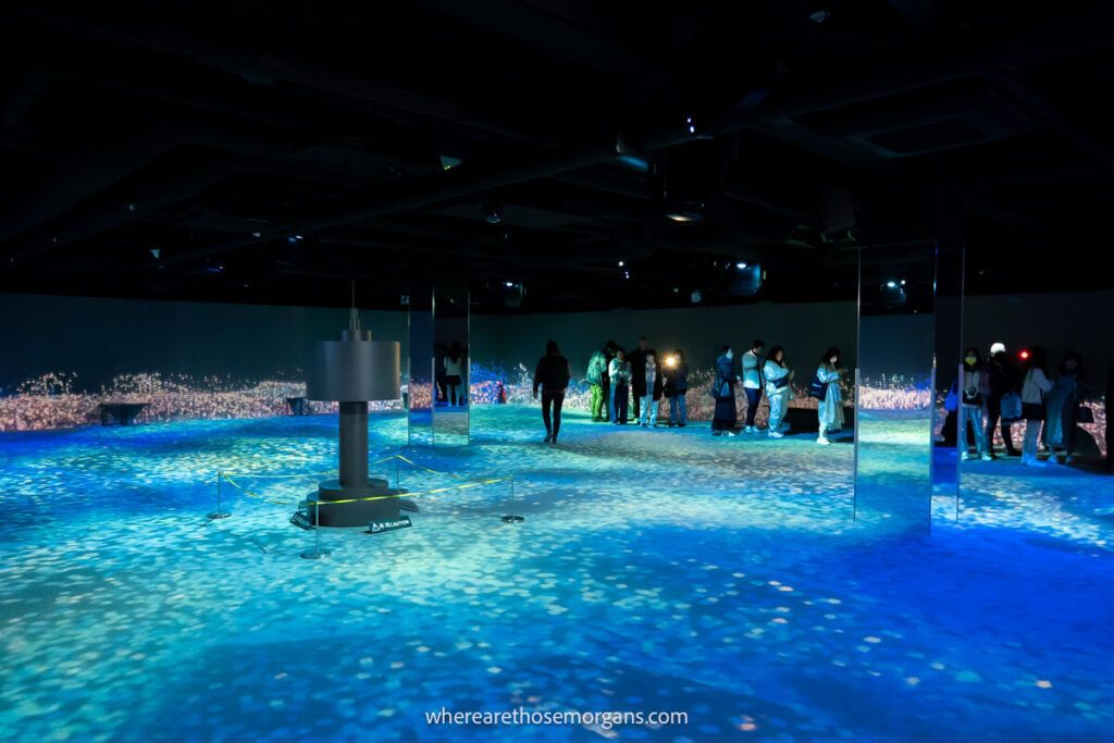Visitors walking through an interactive art exhibit