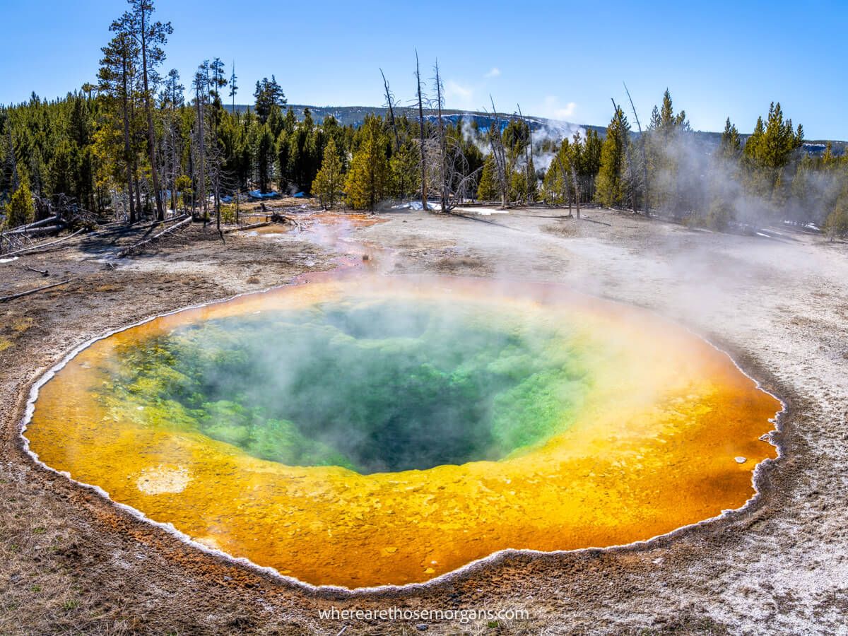 Vibrant oranges, yellows, greens and blues inside Morning Glory Pool - one of the most famous Yellowstone National Park natural geothermal features surrounded by hard mud and trees on a sunny day