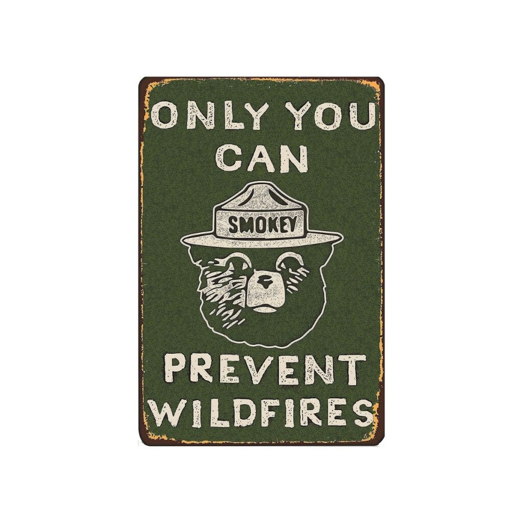 Only you can prevent wildfires smokey the bear sign