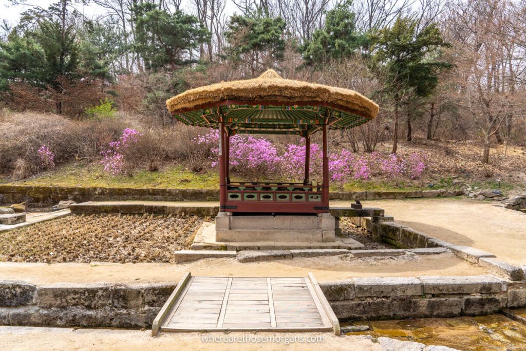 A pavilion and rice field in Huwon Secret Garden one of the best things to do in Seoul
