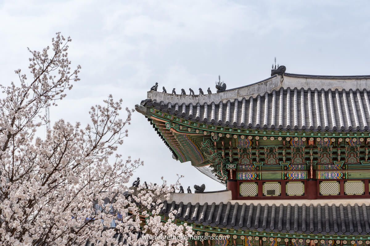 A beautiful palace with Japsang in Seoul, South Korea