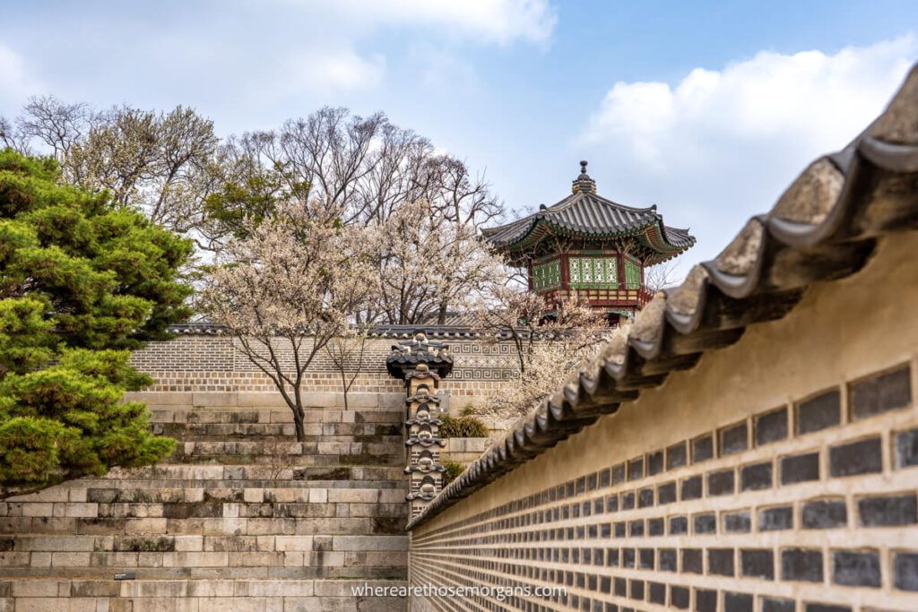 Large gates and lush trees inside in Seoul, South Korea